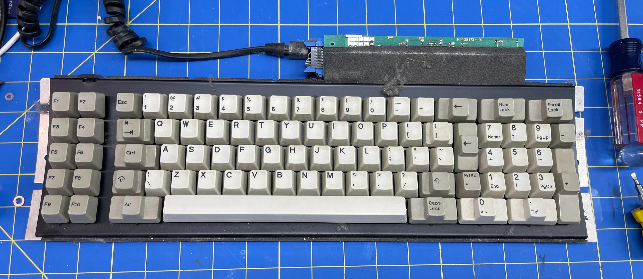 Model F keyboard disassembled