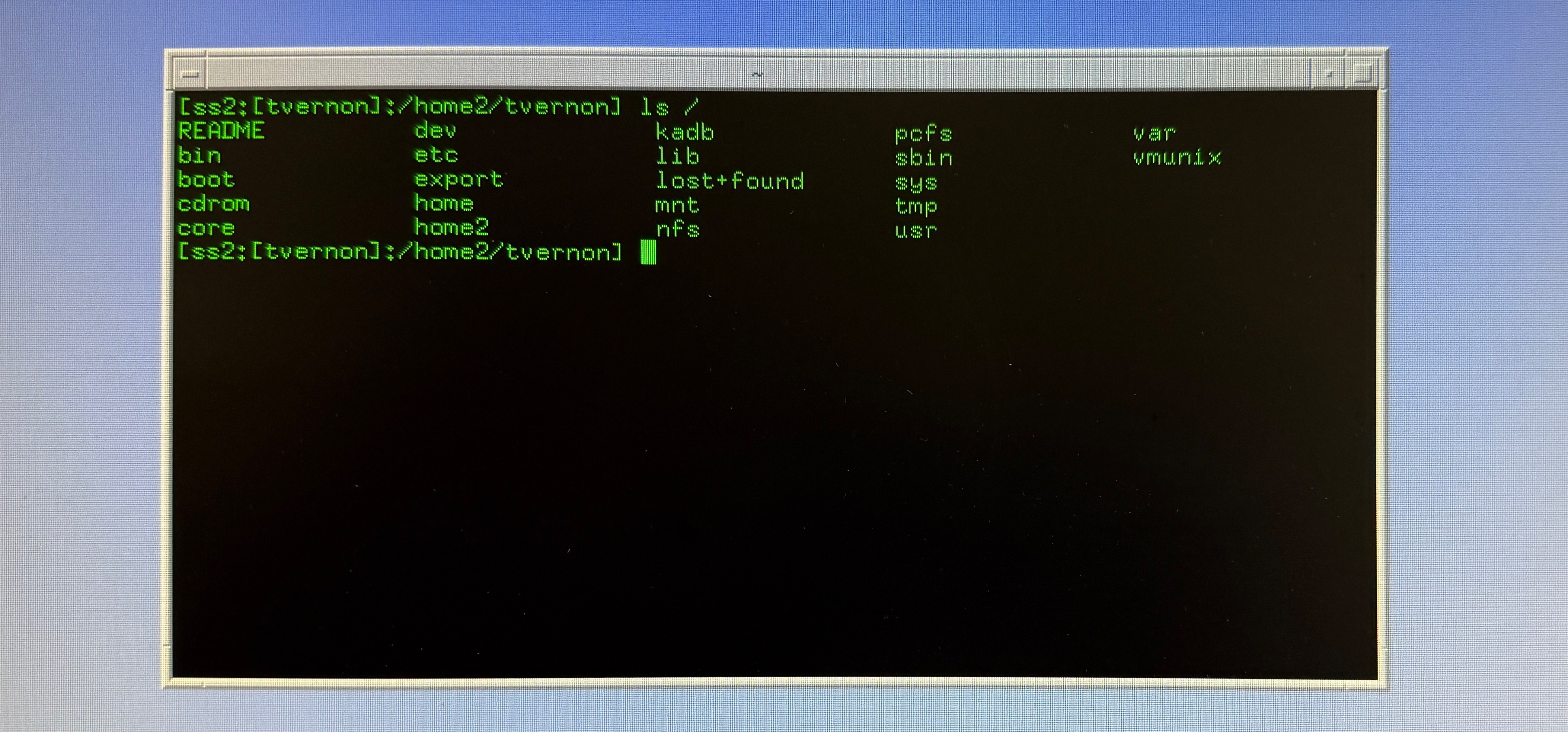 An xterm running on a Sun workstation