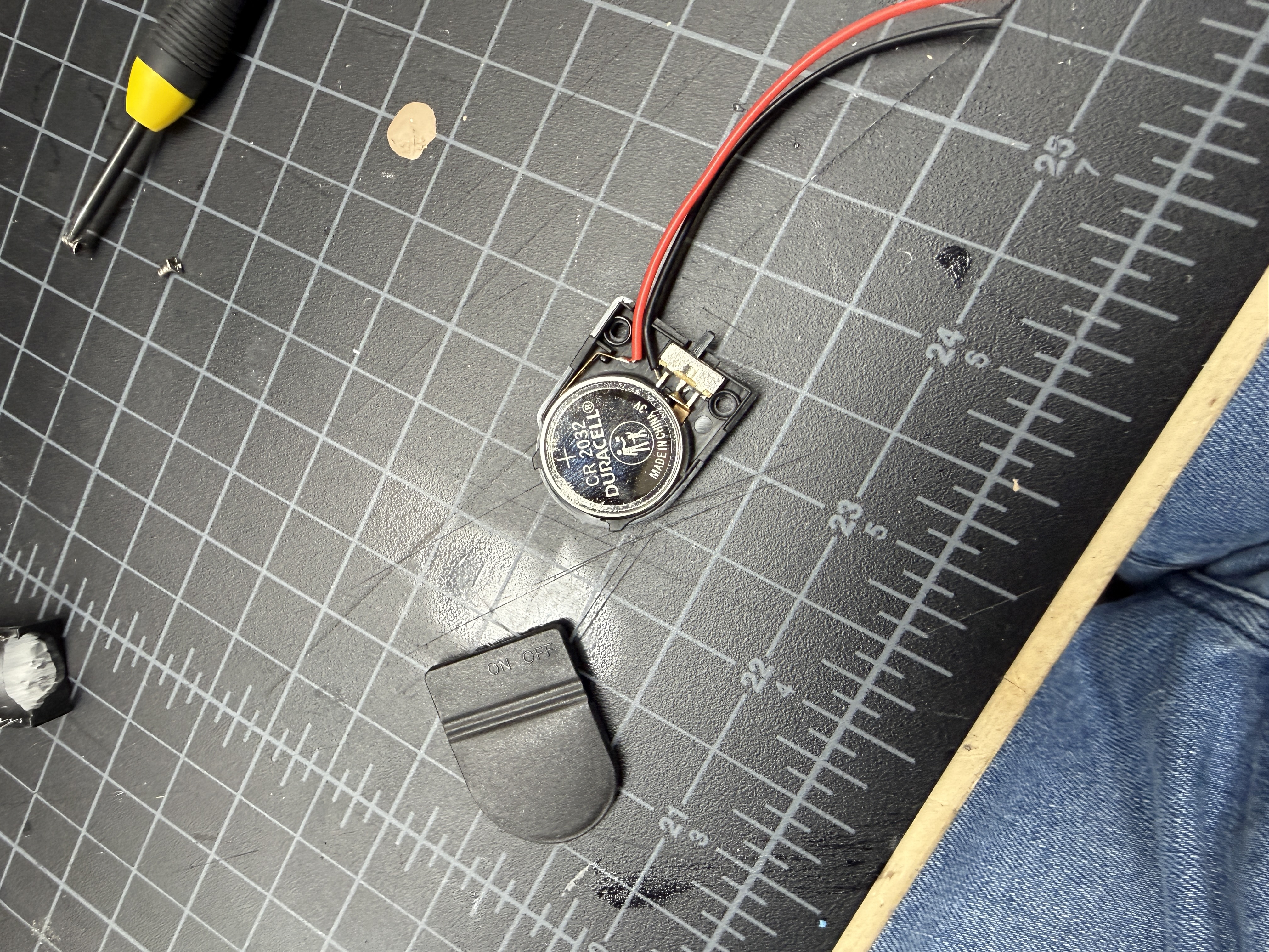 Coin cell holder and chip